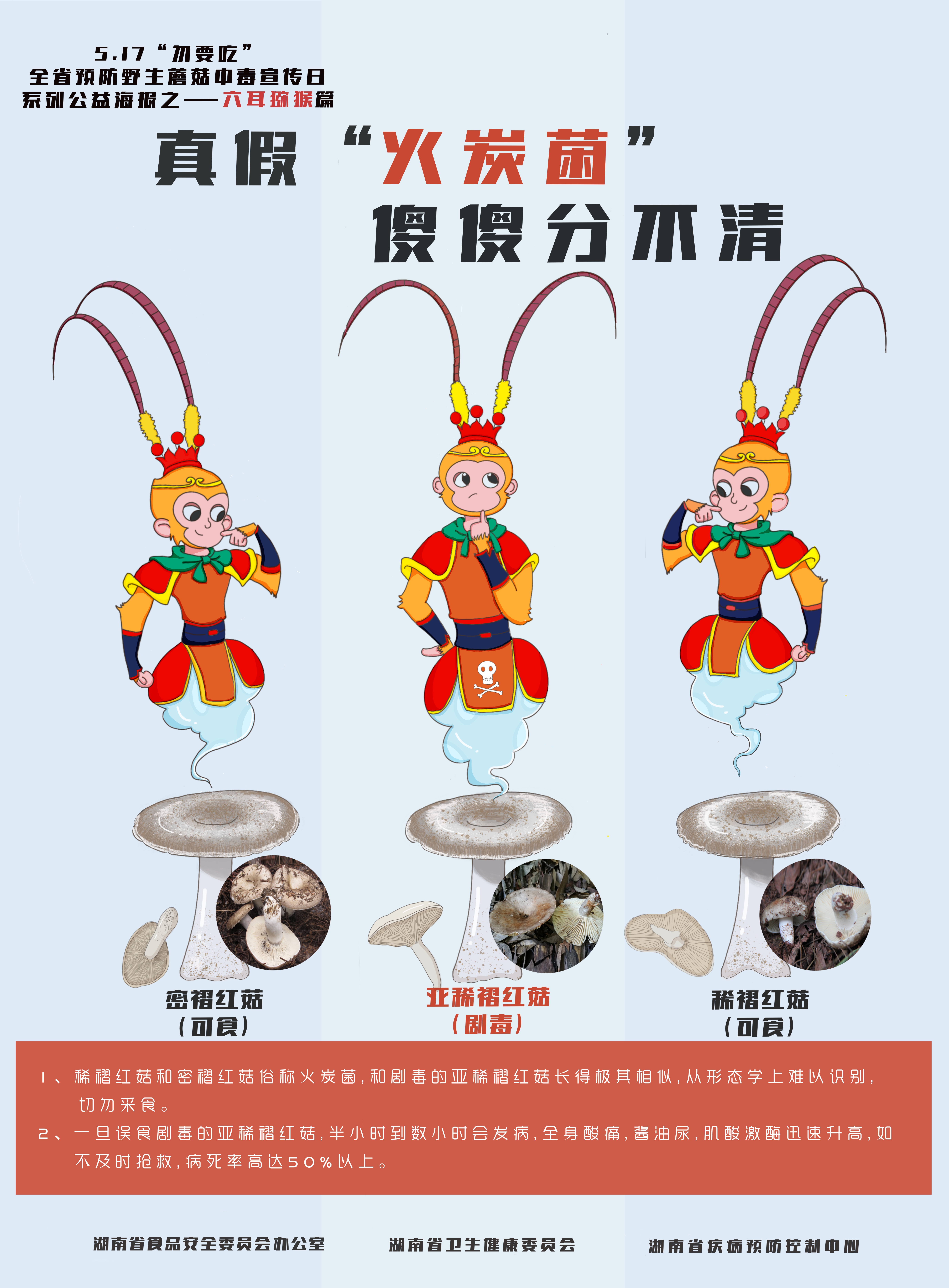 预防野生蘑菇中毒系列6-真假火炭菌 傻傻分不清.jpg