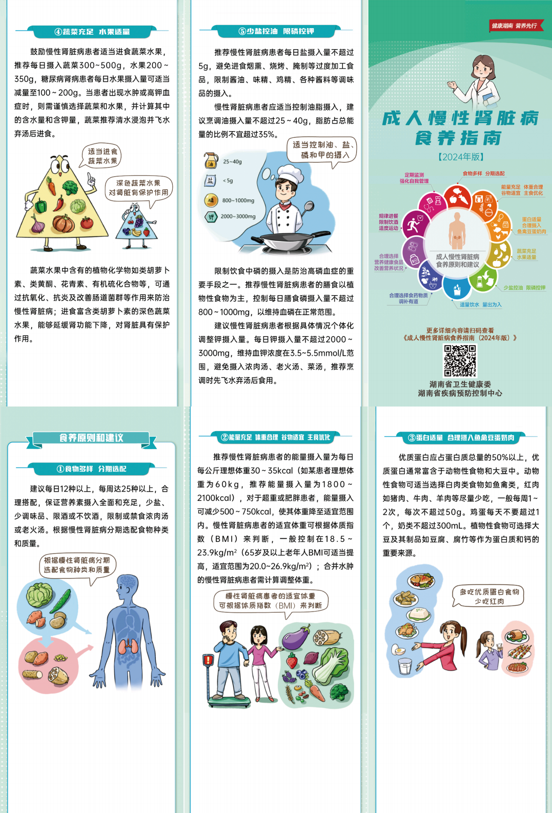 （7）成人慢性肾脏285x210mm 3折页 包心折_00.png