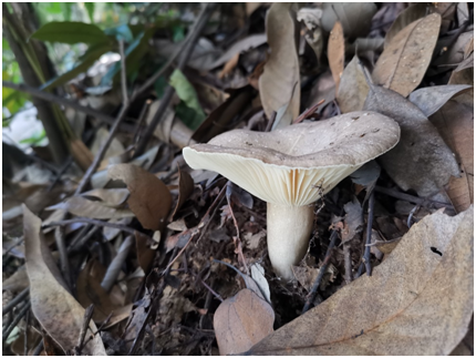 微信图片_20210730095343.png 微信图片_20210730095343.png