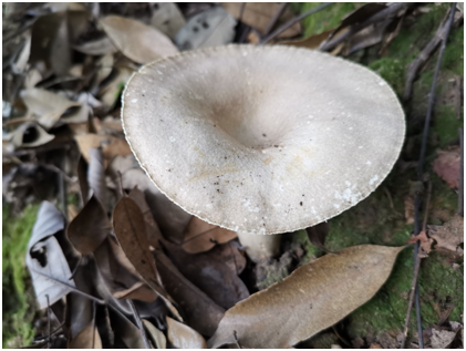 微信图片_20210730095648.png 微信图片_20210730095648.png